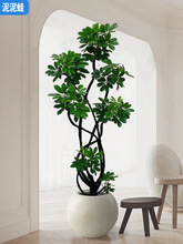 _ľ҃ȿ͏d;GֲZƲļG˷ؔk