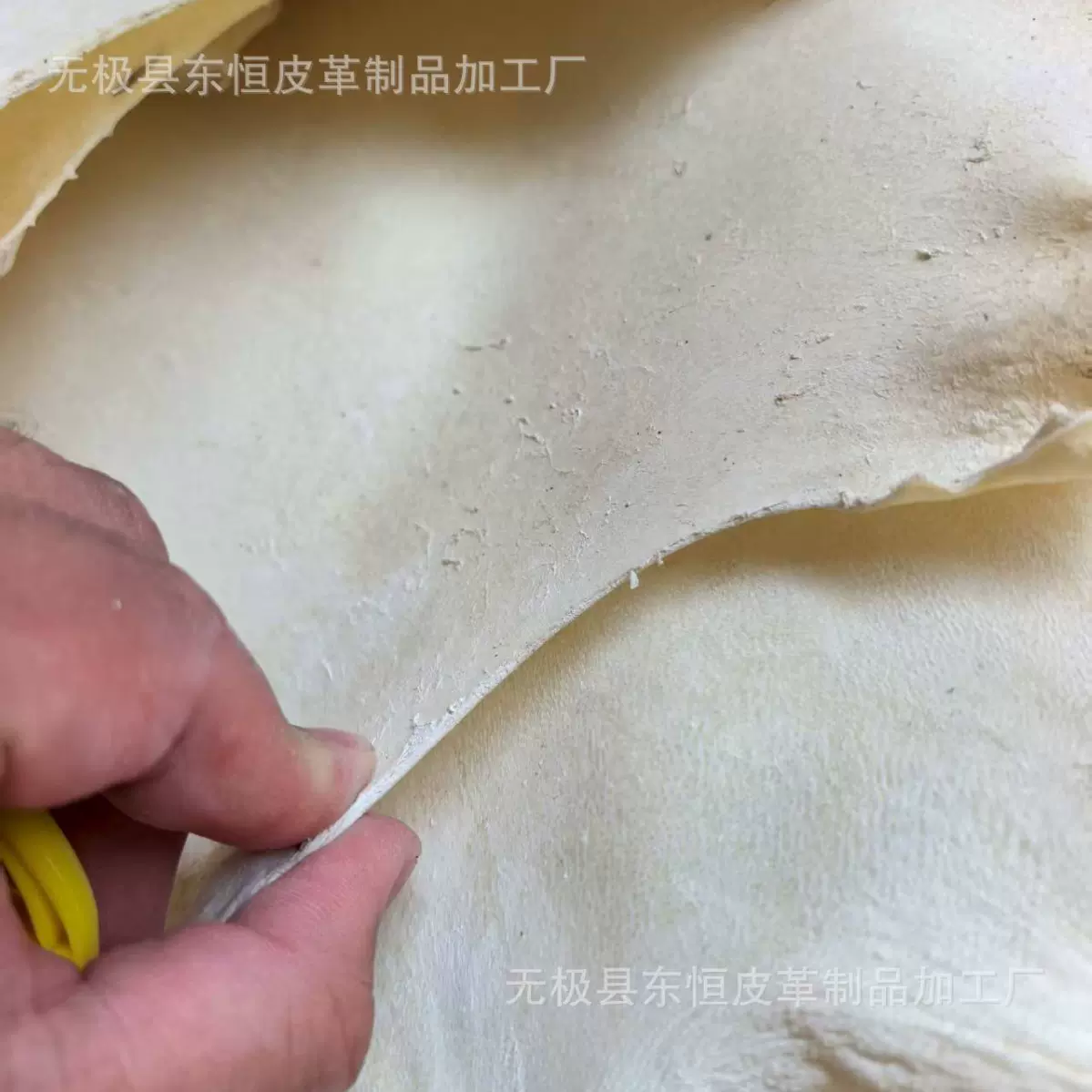 羊皮头层 干羊皮 厚度0.4 干的羊皮 B级货 次货 皮层  头层
