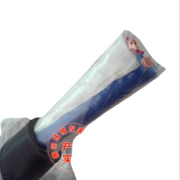 VV3*2.5铜芯电缆 安徽厂家直销