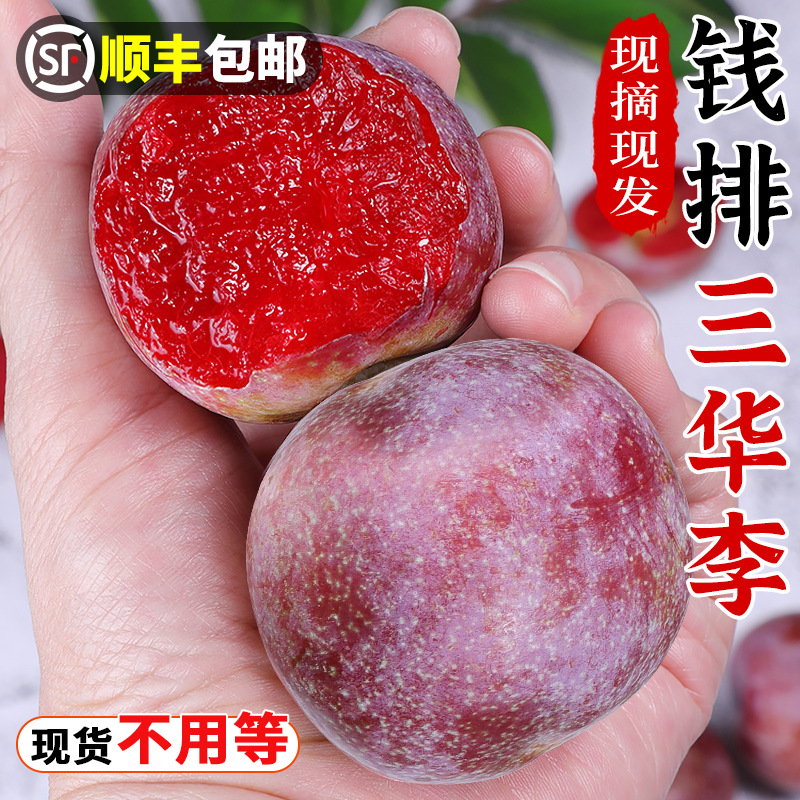 Sanhua Plums Fresh Guangdong Qianpai Red Heart Plums Large Fruit Pregnant Women Fruit Sweet Sour Crispy AliExpress Cross-Border Wholesale