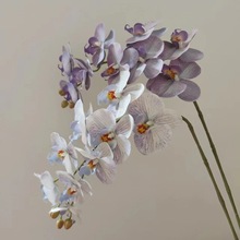 9�^�ָк����m�zƬ3D��ӡ���滨�m��ܛ�b������c�羳���؛Դ