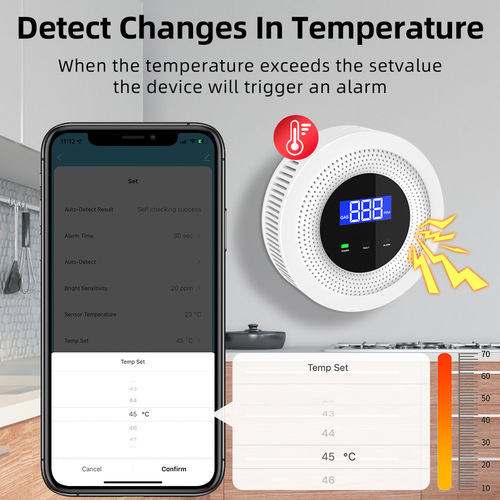 Doodle Smart Home WiFi Gas Leak Detector Kitchen Coal Leakage Home Electromagnetic Valve Combustible Gas Alarm
