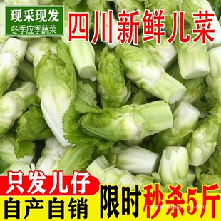 �Ĵ������r���ԷN���޲�ĸ�Ӳ����r�Gɫ�߲˕r���ۃ��о�Ʒ��ȫ��