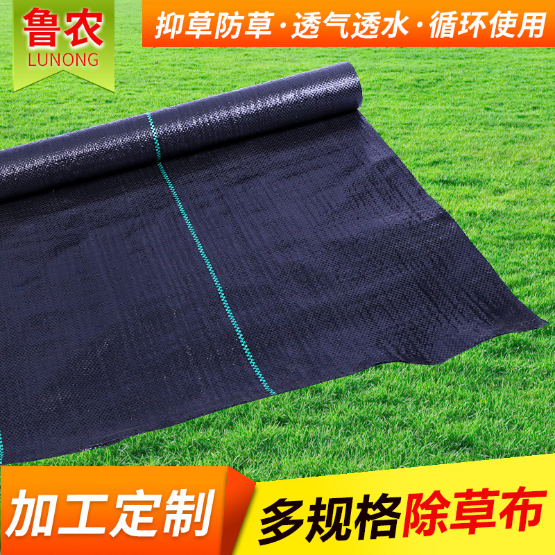 厂家供应除草布农用地布透气防草布黑色果园抑草布防老化园艺地布
