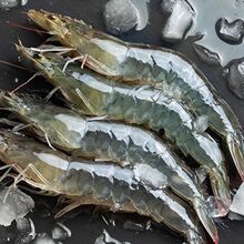 缤鲜气冻虾无冰特大青岛大虾新鲜氮气速冻海虾白虾基围虾批发P