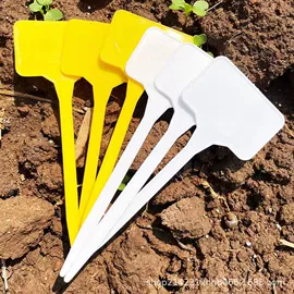 其他园林资材;木质工艺品;其它水族用品