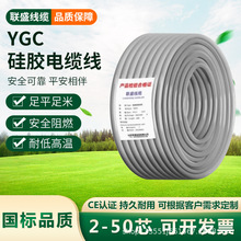 YGC͸ߜعzo׾ܛ|߉2-50оYGCz|