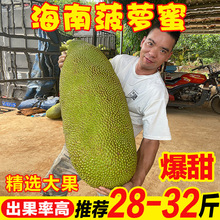 ���}�ۺ��������S�⑪�����Ꭷ���rˮ�����ľ���_�خa���]����վ