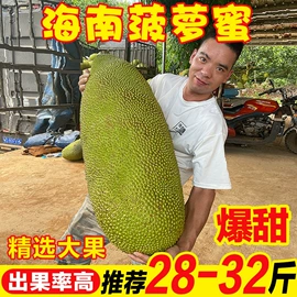 方便面类;膨化;传统糕点