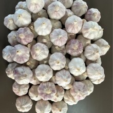 ɽ�|���|�tƤ����Դ�^�S����샦��؛Դ���㾫Ʒ���b���ļӹ�