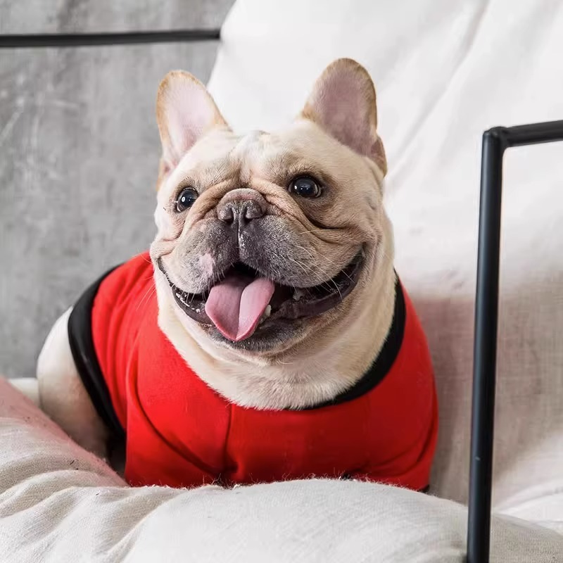 가을, 겨울 프렌치 불독 강아지 옷 불독 슈나우저 중형 개 가을 얇은 운동복 축제 애완 동물 옷