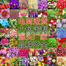 ���ܷN�� �ļ��N�����l�M����̫ꖻ���˹�հ��ղ����տ��r�ձ���