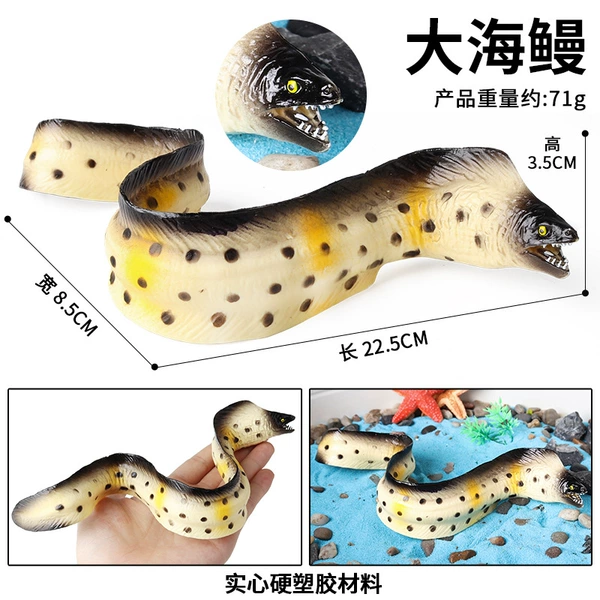M-3239 spotted marine eel