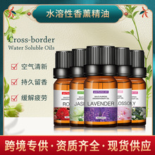 �羳�F؛ˮ������޹���ͳ�ζ�ӝ����Ƶꌣ����޹�η�ֲ�ﾫ�����l