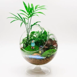 装饰花瓶;微景观;玻璃工艺品