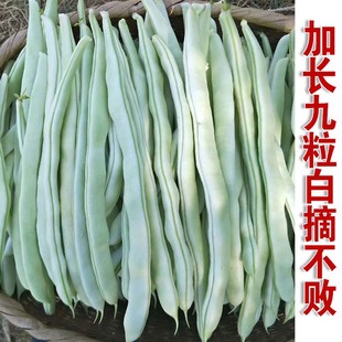 ������ܿ���ρ��ٷN�Ӹ߮a�ײ��ϱ�ܿ���߲���ժ�����ļ����N���]