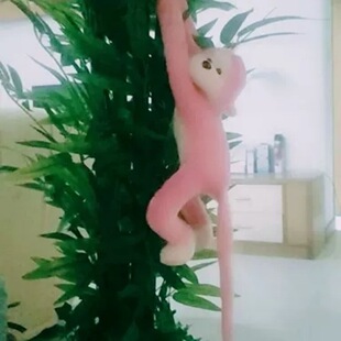 �Gֲ�lؔ�主�F����������ϼ����Ի��͏d�b�����ؔ[��