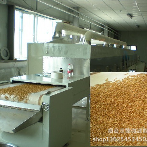 黄粉虫膨化设备隧道式微波黄粉虫烘干设备黑水虻微波红烘干设备