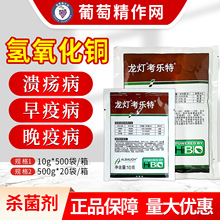 ���� ������46%�������~���٘䝢���R������߲��rș������