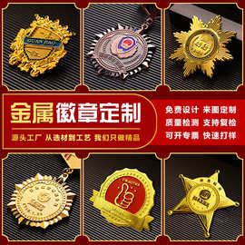 金属徽章定制勋章纪念章卡通动漫烤漆珐琅胸牌奖章司徽订制加工定