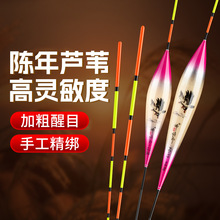 ��Ʒ�JȔ�~Ư���`����Ŀ�Ӵ��p�����~�a�~ƯҰឺڿ��JȔ��Ư���l