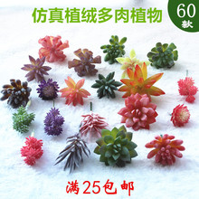 ins�������ֲ����������b�GֲС�辰�M��DIY΢���^�[���҃��b�