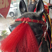 ���R�tӢ ���R�t�� �R�b�Ʒ �R�^���t�����