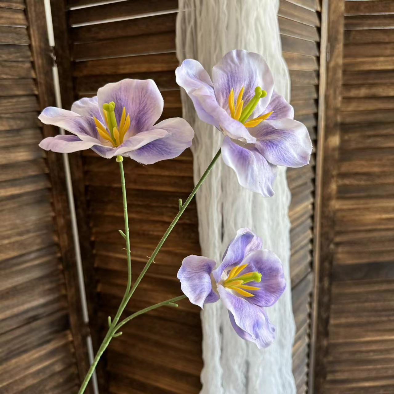 라벤더