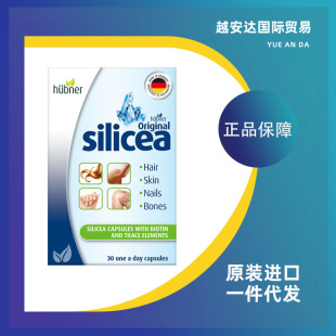 Huebner�°��ȵ�silicea�������������\�i��Ů�^�l�B�l�z��30��
