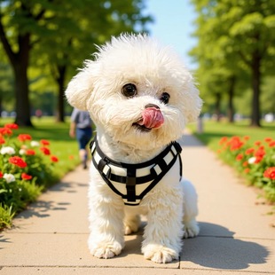 ���N���ܻ��w��ȮС��Ȯ����ë���܌���Ȯ�������pȮ���̻���l