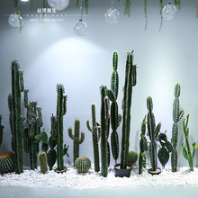 �҃ȴ��ͷ����������쾰������������ᎧɳĮ�L�������ֲ������