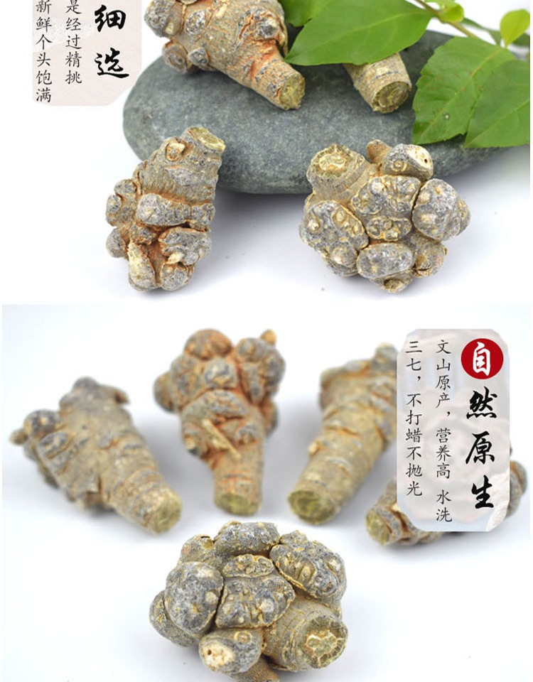 San Qi Notoginseng Root Tian Qi Dried Whole Roots Wenshan Panax notoginseng for Decoction and Powder key features