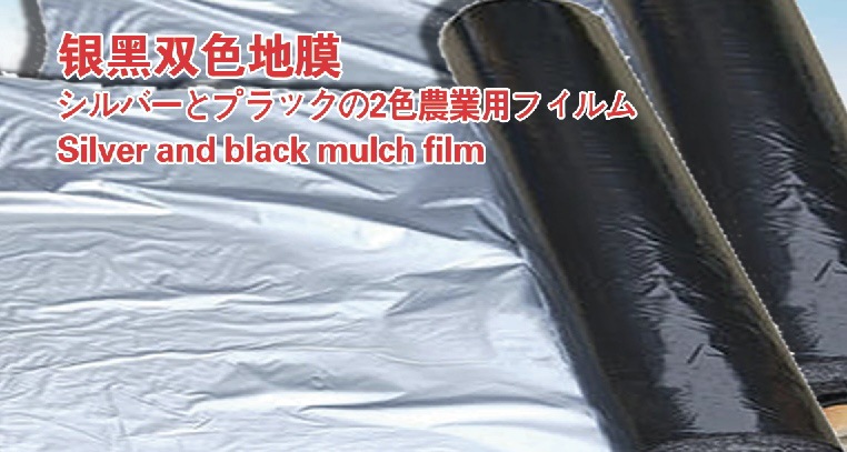 548076dcace224504ef8c2eef8a973