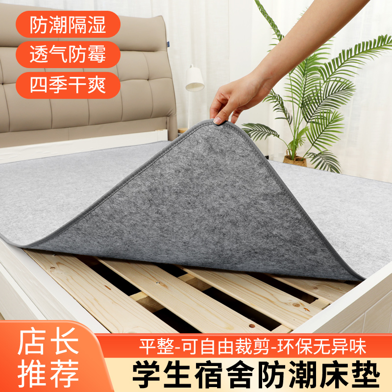 Moisture-Proof Mattress for Bed Use, Moisture-Absorbing Mattress for Student Dormitories, Tatami Anti-Moisture and Anti-Mildew Mattress, Wholesale