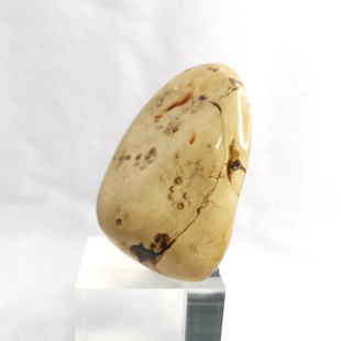 Baili Ji Billion Years Pure Natural Ceiling Landscape White Root Amber Genper Natural Amber Decoration