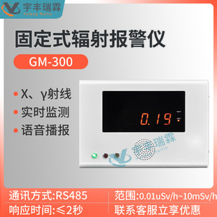 Fixed X-ray radiation alarm intelligent multi-point networking online regional radiation monitoring and alarm system
