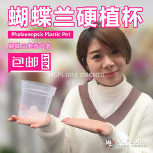 包邮蝴蝶兰营养杯硬杯透明花盆树脂塑料易观察根系闻澜园艺