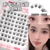 8 rows natural Qingqiu fox, no glue