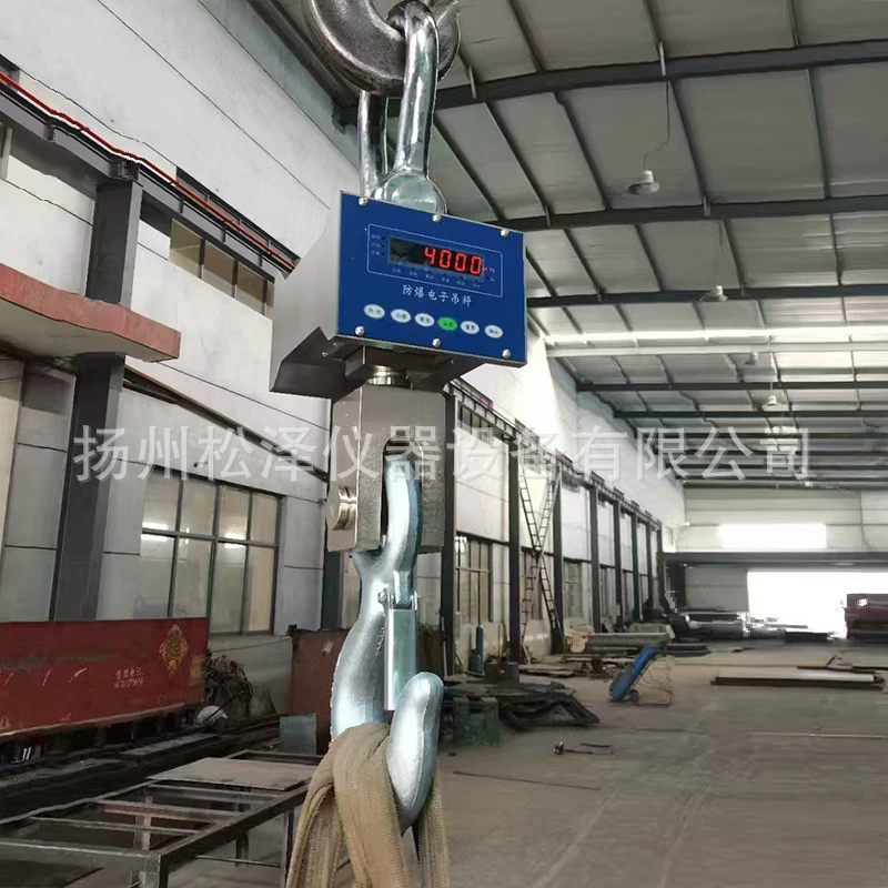 Взрывозащищенные электронные весы крючков Фармацевтическая химическая краска чугунный завод