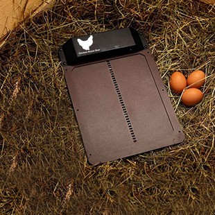 Cross-Border Household Automatic Light-Sensing Chicken Coop Door Chicken Coop Pet Door Automatic Chickan Coap Doer