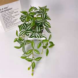 仿真绿植爬宠吊竹梅壁挂藤条植物 家居室内装饰婚庆植物墙配材