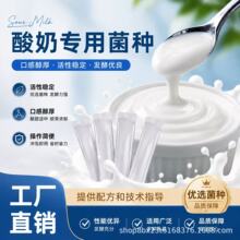 酸奶发酵菌商用益生菌奶皮子菌粉冷萃酸奶发酵拉丝酸奶发酵菌种