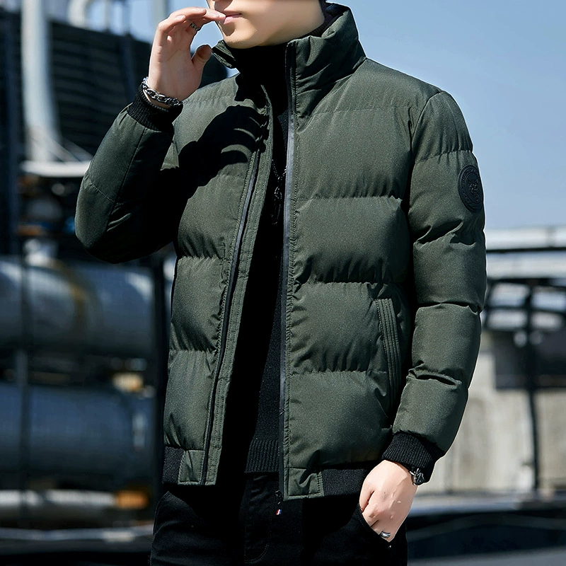 Demi-season warm men's down jacket for elementary school students, 2022 collection, Korean style