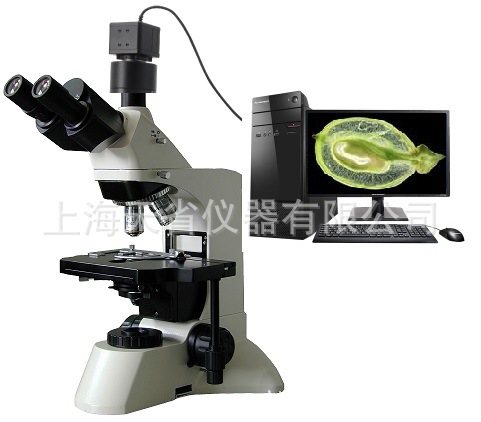 供应高精度生物显微镜、透射生物显微镜、电子显微镜、数码显微镜