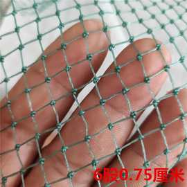 6股0.75厘米聚乙烯尼龙捕鱼养殖网片清塘拉网拖抬网搬网隔断网箱