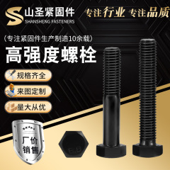 メーカー卸売り高強度ねじスポット供給8.8 8.9級外六角ボルト高強度ねじ