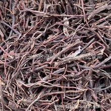 【包邮】榕树须榕须吊风根老公须 每件500克 二十四小时发货