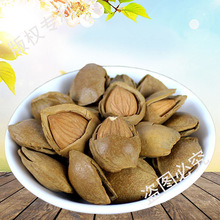 甜熟即食用南杏仁坚果原味不添加糖大开口杏核张家口蔚县特产零食