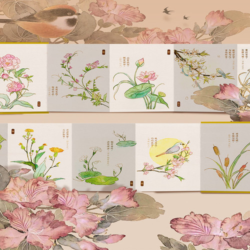 Fei Le Bird watercolor line drawing set with sleeves and elegant objects, thousands of miles of rivers and mountains, Book of Songs, coloring of plants and trees, the Forbidden City coloring gift