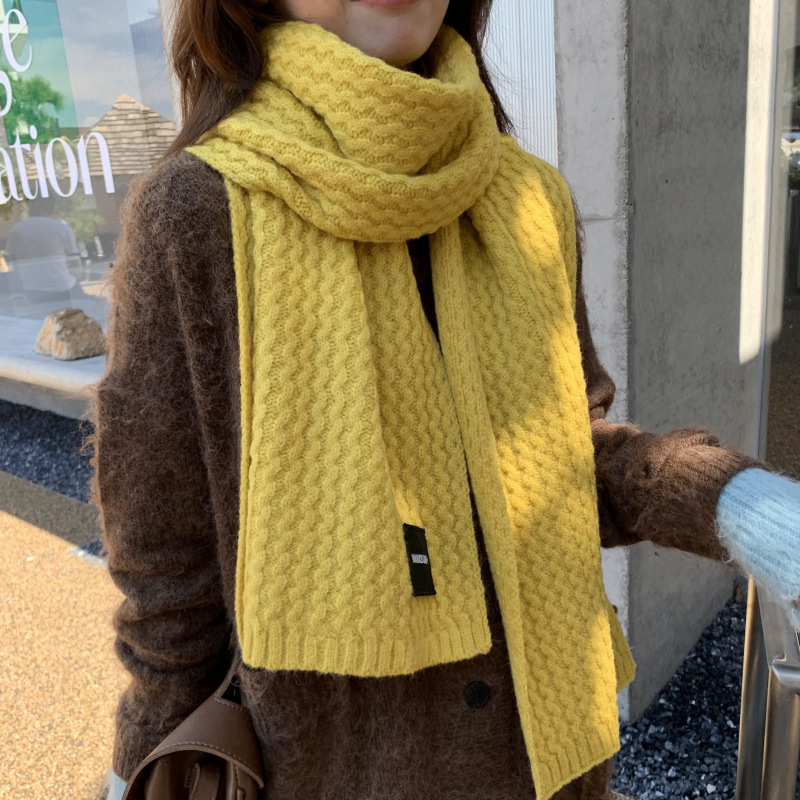 Solid Color Thick Wool Knit Scarf NSCM101560